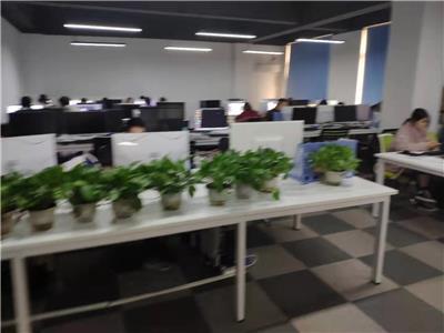 重庆企业软件开发与保健项目合作 价格策略与批发模式探讨