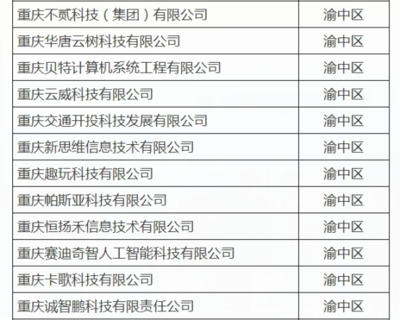 渝中12家企业入选重庆首批“满天星”示范企业，引领软件开发新高度